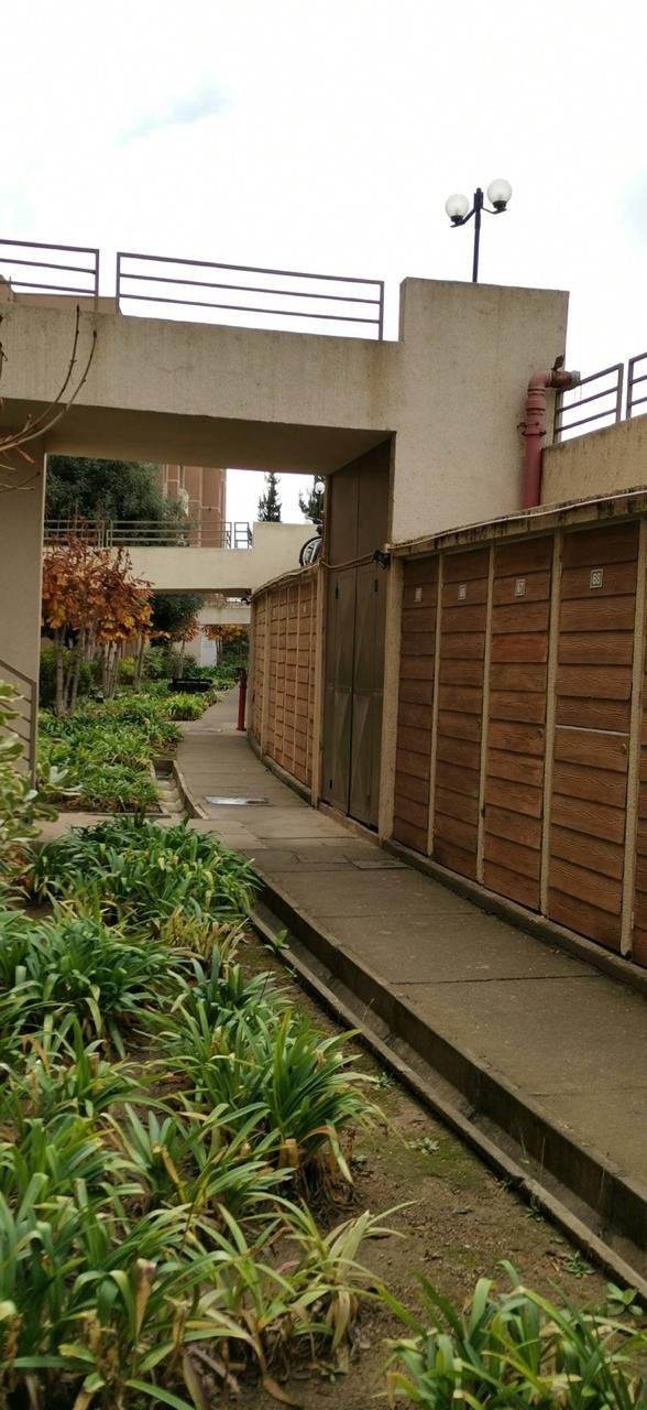 Arriendo Departamento Jardines de Curauma